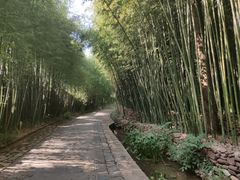 -竹泉村旅游度假区