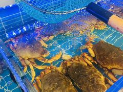 -金海湾海鲜排档(朱家尖店)