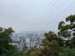 -金鸡山公园