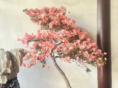 -拙政园