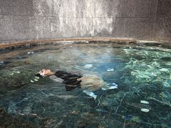 -西安W酒店FIT有型健身中心