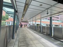 -香港大学