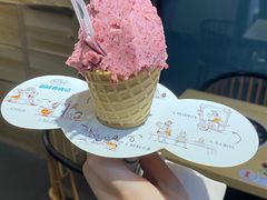 -野人先生现做冰淇淋(北京顺义祥云小镇店)