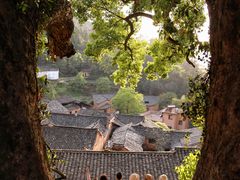 -杨家堂村