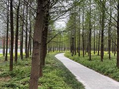 -上海山野camping·户外天幕烧烤·团建拓展营地