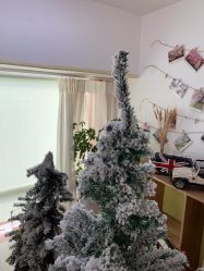 -蜜糖派儿童摄影(青建·太阳岛店)
