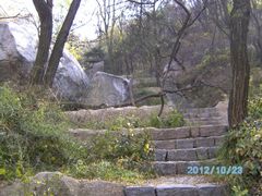 -鲁山国家森林公园