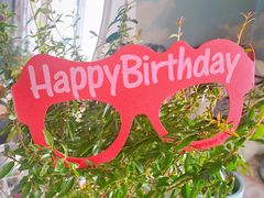 -派悦坊·甜品·蛋糕(日坛店)