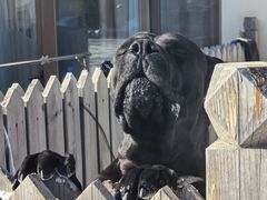 -北京群众马术培训基地