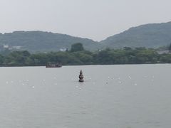 -西湖外事游船(花港观鱼码头)