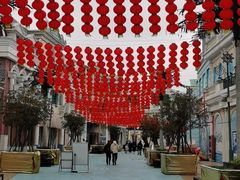 -芜湖新华联大白鲸海洋公园