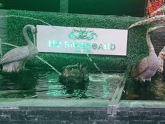 -無招牌海鮮(芽笼店)