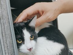 -美联众合动物医院·24h京西诊疗中心