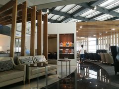 -虹桥机场国航贵宾室v8