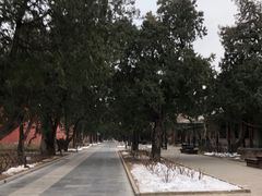 -北京市劳动人民文化宫(太庙)