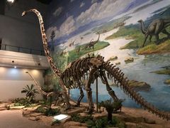 -自贡恐龙博物馆