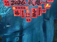 -苏州海洋馆