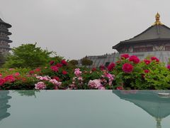 -隋唐洛阳城明堂天堂景区