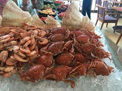 -视界美食自助餐厅·石家庄希尔顿酒店