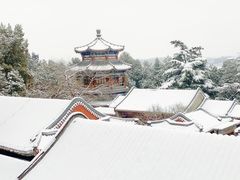 -宫事颐庭·老佛爷贵寿下午茶(颐和园店)