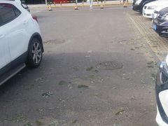 -山姆会员商店·停车场