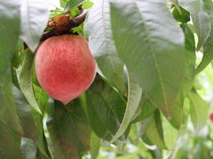 -仙海旅游度假区