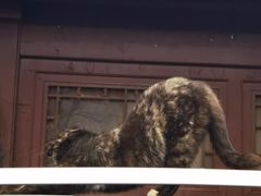 -烤肉季饭庄
