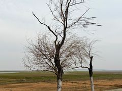 -鄱阳湖国家湿地公园