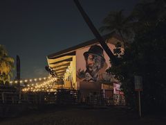 -圣淘沙天际线斜坡滑车