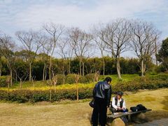 -新江湾城公园