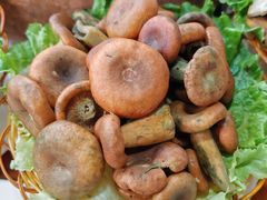 -菌海森林·非遗野生菌火锅(西山区滇池路摩根道店)