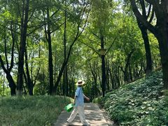 -重庆市江北嘴中央商务区中央公园