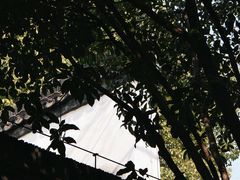 -南京民俗博物馆(甘熙故居)