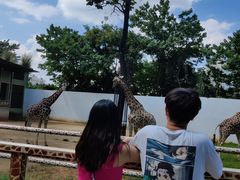 -昆明动物园
