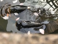 -张家大院·鲁菜·私房菜(芙蓉街店)