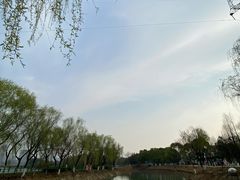 -金银湖国家城市湿地公园