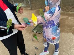 -呀路古热带植物园