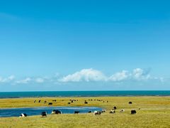 -青海湖国家重点风景名胜区