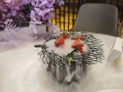 -迦南苑·新派青岛菜·生日纪念日主题餐厅