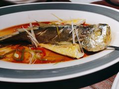 -前海沿·青岛菜(五四广场永旺店)