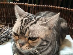 -小时光咖啡馆(北锣鼓巷店)