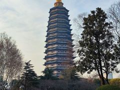 -红梅公园