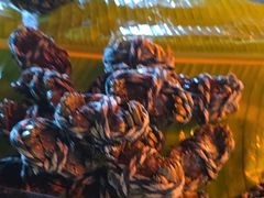 -亚龙湾希尔顿自助餐厅·海鲜·烧烤·沙滩BBQ·现场乐队