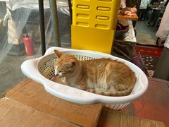 -颓记茶餐厅(美景总店)