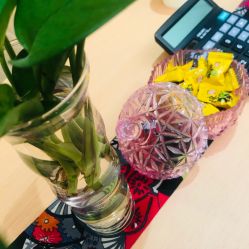 -觅屿日式脱毛美肤