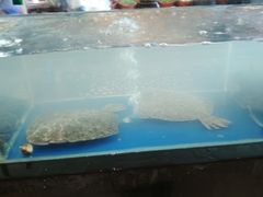 多宝鱼-小鱼故事·海鲜饺子馆(高新店)