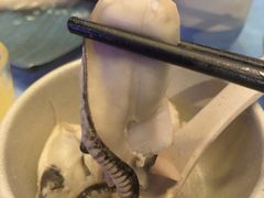 -千岛蚝高压锅生蚝·人参火锅(白云万达店)