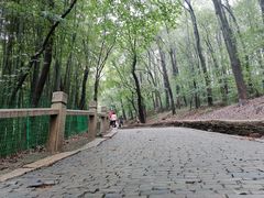 -灵岩山风景区