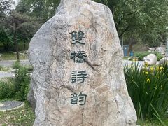 -海淀公园
