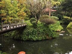 -同庆堂(解放北路店)